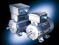0.25kW 6-pole Explosion protected motor (EExdeIICT4)