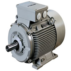 0.12kW 'EEx e' 3-phase motor [4-pole only]